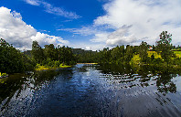 美国留学心理专业都有哪些优势院校?(下)