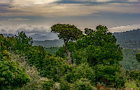 美国留学经济学专业详解(上)