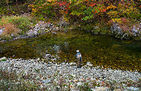美国留学罗切斯特大学专业介绍