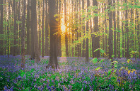 美国留学MBA专业优势介绍