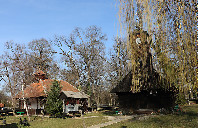 美国留学普林斯顿大学专业介绍