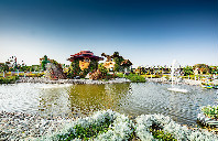 美国留学AI专业介绍