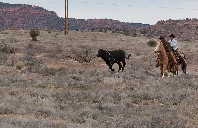 美国留学迈尔密大学的海洋科学类专业介绍(下)