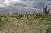 美国留学商科专业分析