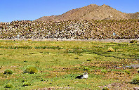 美国留学心理学专业需要什么条件？