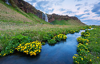 美国留学心理学分支就业介绍（下）