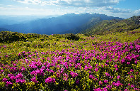 美国留学商科专业详细解析（上）