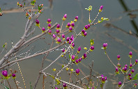 美国留学都有哪些好的文科专业？（上）