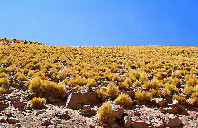 美国留学金融专业解析