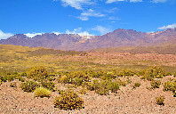 美国留学纽约视觉艺术学院专业介绍（上）