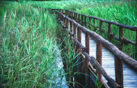 美国留学视觉艺术专业介绍（下）