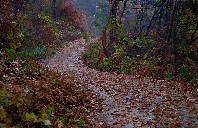 美国留学会计计算专业优秀大学介绍