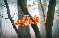 澳洲留学有哪些就业率高的专业？（下）