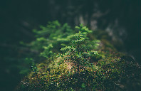 澳洲留学优秀专业讲解（上）