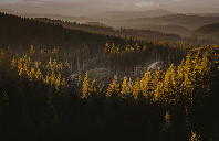 澳洲留学艺术热门专业介绍