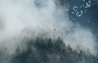 澳洲留学哪些专业回国更容易就业？