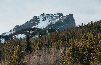 澳大利亚留学回国哪些专业好就业？