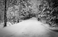 澳洲留学各专业优秀院校介绍（上）