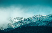 澳洲留学较受欢迎的商科专业介绍