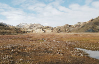 澳洲留学选专业需要考虑哪些因素？