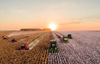 澳洲留学8大热门专业就业介绍（下）