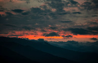 澳洲留学莫道克大学兽医专业申请指南