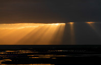 新西兰留学王牌专业讲解