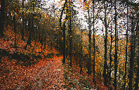 新西兰留学八大热门专业（下）