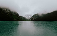 新西兰都有哪些受欢迎的专业？