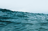 新西兰留学“八大”优势专业介绍（上）