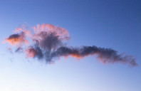 新西兰留学优质专业介绍