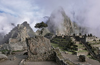 新西兰留学热门本科专业介绍