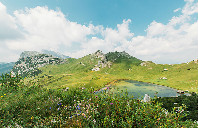 新西兰留学本科需要什么样的水准？