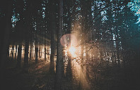 新西兰留学本科优势（下）