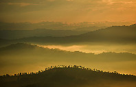 新西兰留学申请条件