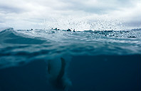 新西兰留学高中费用介绍