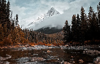 新西兰留学本科可以读哪些专业？