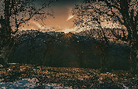 新西兰留学会计专业解析（下）