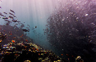 英国留学圣安德鲁斯大学优势介绍(下)