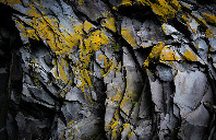 英国邓迪大学硕士留学介绍(上)