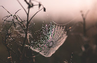 英国留学中学如何选校？