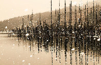 英国留学什么时候申请比较好？（上）