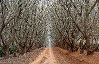 英国留学本硕连读条件介绍