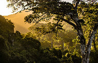 美国留学摄影专业院校推荐