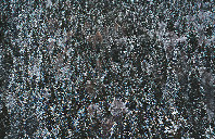 留学美国维拉诺瓦大学有哪些优势？（下）