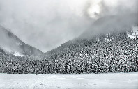 留学美国波士顿大学优势介绍（上）