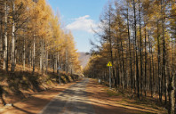 留学美国乔治城大学优势介绍