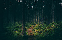 留学美国布兰迪斯大学有哪些特色?