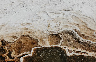 留学美国佐治亚州立大学如何?