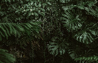 留学澳洲回国就业优势讲解（上）